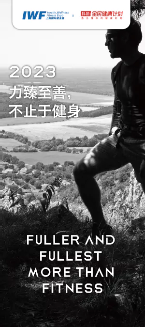 im电竞游戏攻略平台